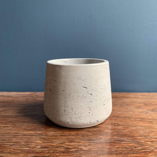 Devil's Ivy Plant Pot | Highgate Flowers